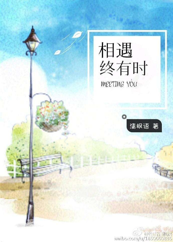 相遇终有时TXT