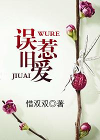 误惹前夫前妻请复婚免费阅读