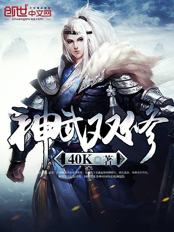 神武4双修