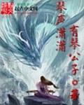 琴声潇潇男主太子