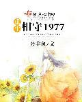 重生相守1977全文阅读