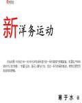 新洋务运动购买的军舰叫什么