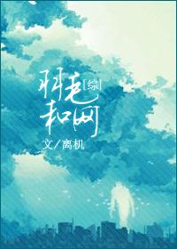 综羽毛和网免费