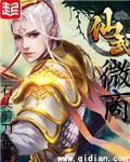 仙武微商全集