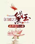 红楼梦林黛玉初入贾府