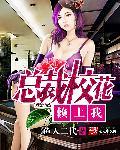 总裁校花赖上我推女顺序