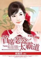全球盛宠小萌妻txt全文
