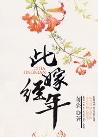 此婚已经年晋江