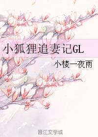 小狐狸宠爱守则晋江