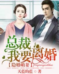 隐婚总裁请签字离婚免费全文