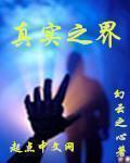 真实之际是什么意思