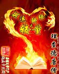 命运2命运终结者手炮