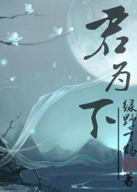 君为下车在多少章