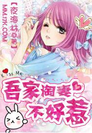 吾家妻宝好看么