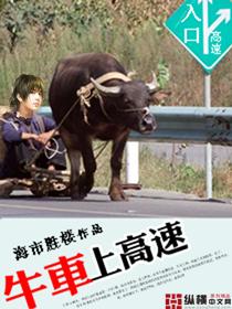 牛能上高速吗