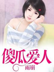 傻瓜的爱情歌词