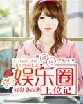 娱乐圈上位记叶子