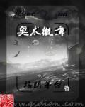 奥术隐藏外观