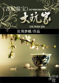 鉴宝赌石类