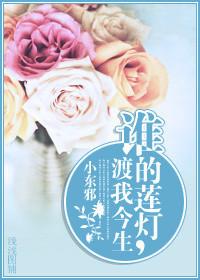 谁的莲灯渡我今生