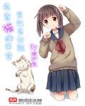 日常里的猫