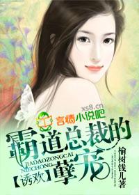 霸道总裁诱妻上瘾概述
