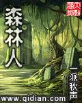 森林人16款