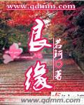 良缘电视剧
