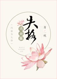 玛丽苏文