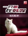 一只猫@世界