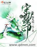 轮回之章怎么用