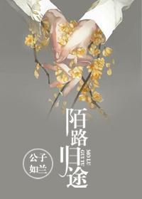 陌路是归途讲的是什么