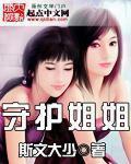 守护姐姐的弟弟君游戏