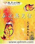 我在这里遇见了你是什么歌
