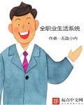 第一章全职业体验系统