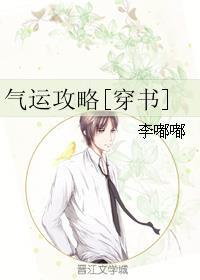 气运攻略无防盗