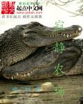 寂静牧场棉花糖