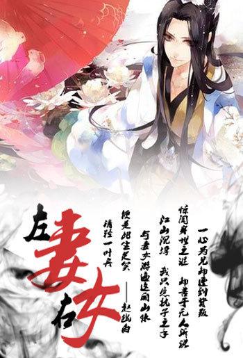 左妻右妾视频