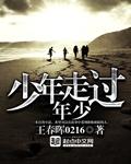 少年已过下一句