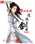 碧血丹心武功排名