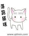 猫跑走了怎么办