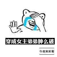 穿成女主弟弟肿么破类似