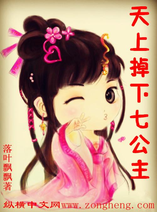 天上掉个七仙女全文阅读