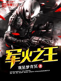 军火之王1到46集在线观看免费