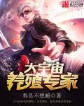 大宇宙ccn